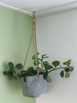 Plantentas jade 18 cm | plantenhanger 18 cm