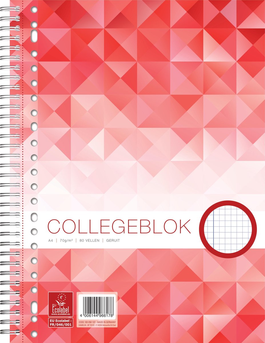 Work collegeblok A4 - ruit 5 mm - 70 grams - 23 gaats - 80 vel - 5 stuks