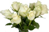 PostBloemen - Witte rozen - Verse snijbloemen