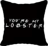 Friends TV-Show Kussenhoes | 45 x 45 cm | Friends tv serie Merchandise Sierkussenhoes | Nr. 8 You're my lobster