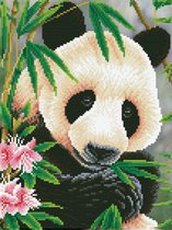 DDK7.040 Diamond Dotz® - Diamond painting volwassenen - Diamond painting met lijst - Dieren - Panda prins 40 x 30cm - Ronde steentjes - Volledig pakket