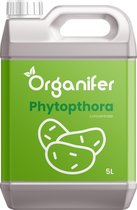 Concentré Phytophthora - 5 litres Pour 5000m2 - Contre les maladies de la pomme de terre - Prévient et guérit les plants de pommes de terre et de tomates - Organifer