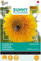 Buzzy® Sunny Flowers, lage Zonnebloem Sungold dubbelbloemig