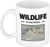 Sneeuwvos mok met dieren foto wildlife of the world