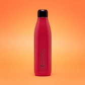 Quy Cup - 500ml Thermosfles “Reed” Rood 12 uur heet 24 uur koud herbruikbaar RVS fles (304)