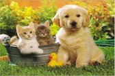 diamond painting 30x40 cm - Puppy met kittens