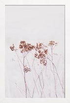 JUNIQE - Poster in houten lijst Wild Flowers Iceland 115 -20x30 /Ivoor