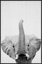 JUNIQE - Poster in kunststof lijst Olifant zwart-wit foto -30x45 /Wit