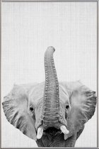 JUNIQE - Poster met kunststof lijst Olifant zwart-wit foto -13x18 /Wit