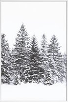 JUNIQE - Poster in kunststof lijst Zwarte winterbomen -40x60 /Wit &