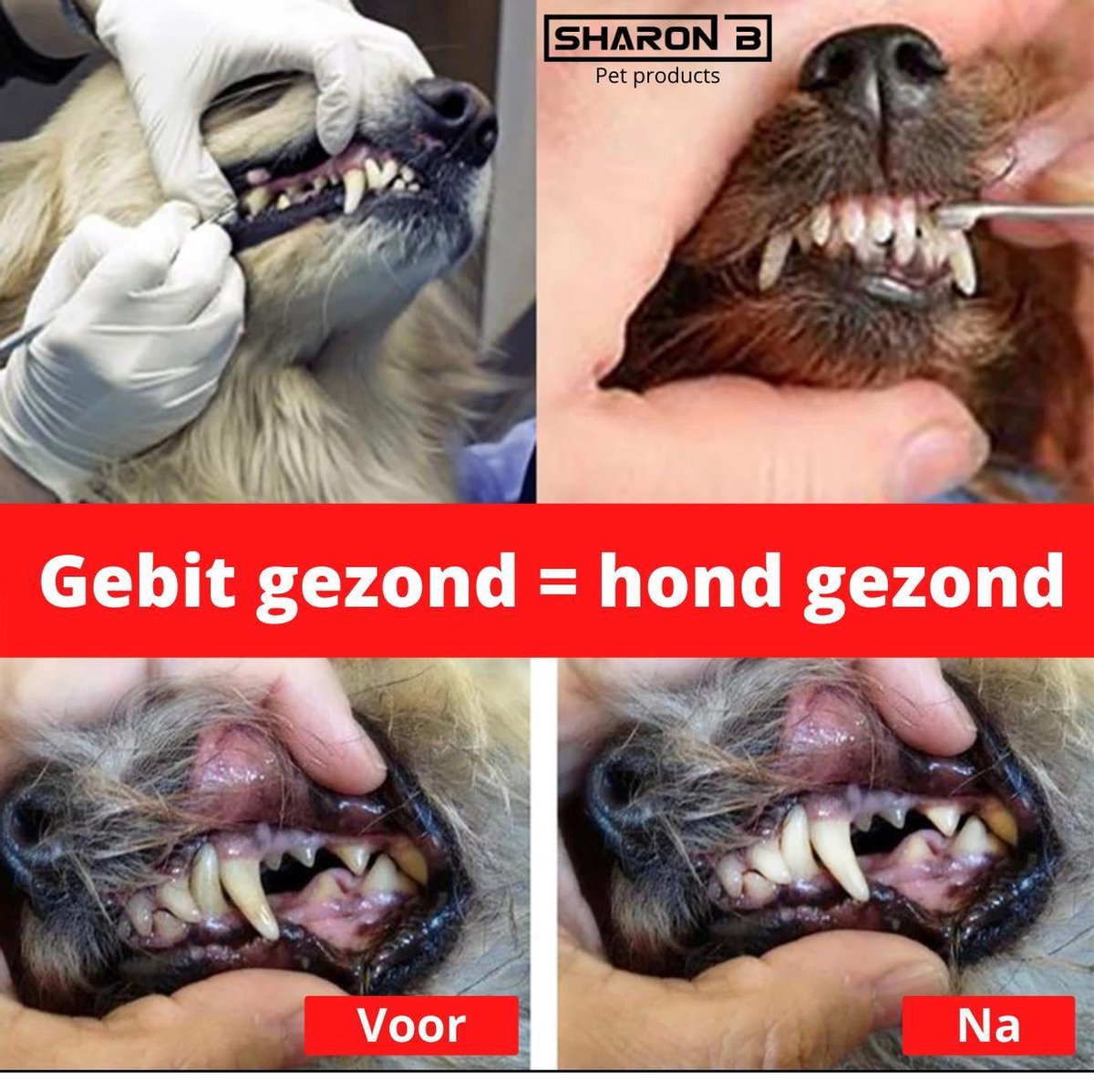 Pro3000 Tandsteen verwijderaar hond Set van 2 Staal Tandplak