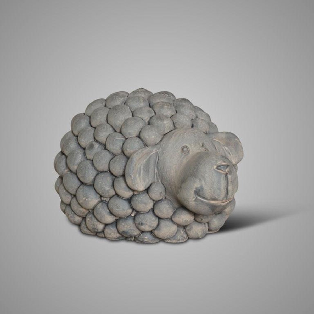 Bande dessinée Brynxz Sheep 2021 | bol.com