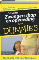 Voor Dummies - De Grote Zwangerschap en opvoeding voor Dummies
