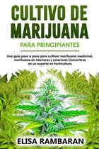 Cultivo de marijuana Para principiantes