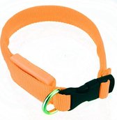 LED Hondenhalsband - Mini - Oranje - XS - Kleine hondjes