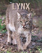 Lynx