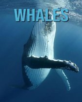 Whales