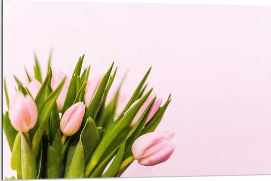 Dibond - Roze Tulpen met Groene Bladeren - Foto op Aluminium (Wanddecoratie van metaal)