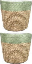 Set van 2x stuks naturel groen rotan planten/bloemen pot mand van gedraaid jute/riet/zeegras H16 en D19 cm - plastic binnenkant