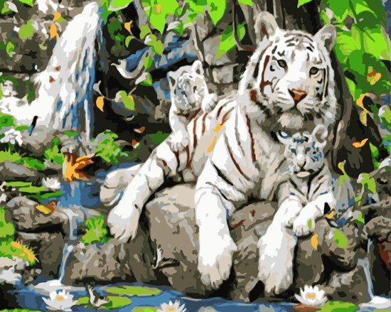 Schilderen op Nummer - Painting by Number - Volwassenen - Tijger
