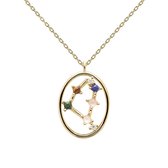 P D Paola Goudkleurige Capricorn Ketting CO01-353-U