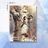 Diamond Painting Pakket Vogels Op Tak - ronde steentjes - 40 x 50 cm