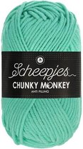 Scheepjes Chunky Monkey- 1422 Aqua 5x100gr
