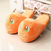 Pokémon pantoffels Charmander - Sloffen