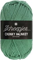 Scheepjes Chunky Monkey-1725 Eucalyptus 5x100gr