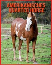 Amerikanisches Quarter Horse