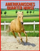 Amerikanisches Quarter Horse