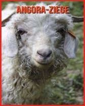 Angora-Ziege