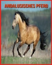 Andalusisches Pferd