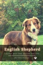 English Shepherd