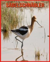 Sabelschnabler