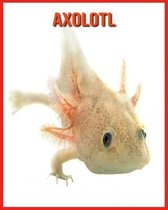Axolotl
