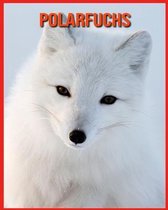 Polarfuchs