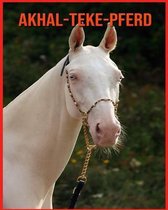 Akhal-Teke-Pferd