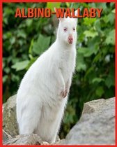 Albino-Wallaby