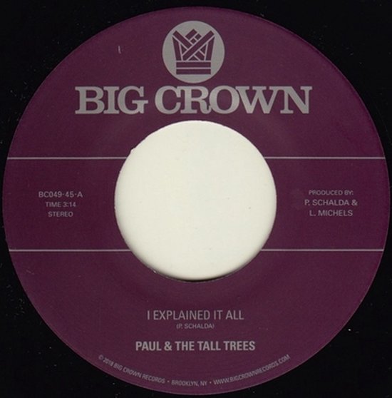 Paul & The Tall Trees & Mattison I Explained It All (7" Vinyl Single