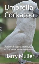 Umbrella Cockatoo