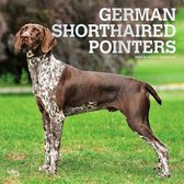 German Shorthaired Pointers 2022 Square
