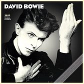 David Bowie 2022 Square