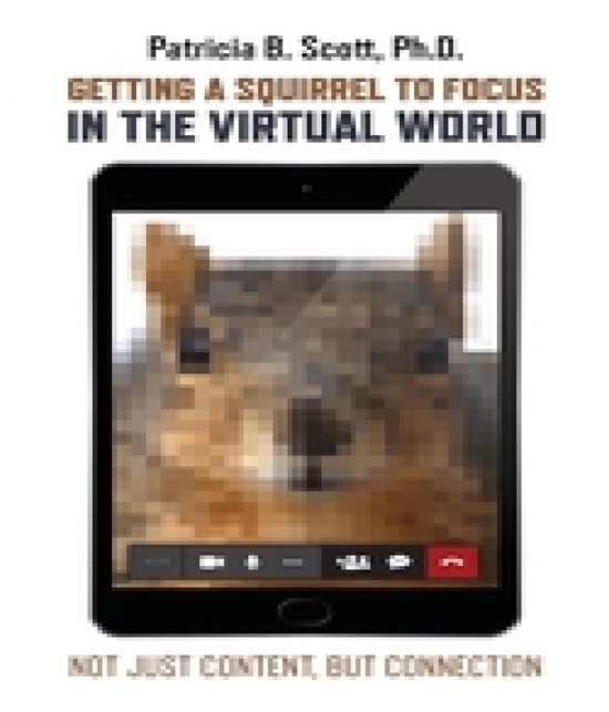Getting a Squirrel to Focus in the Virtual World - cover