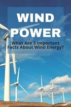 Wind Power: What Are 3 Important Facts About Wind Energy?