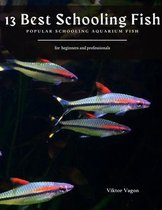 13 Best Schooling Fish: Popular Schooling Aquarium Fish