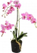 Phalaenopsis 3-tak - 63,5 cm roze