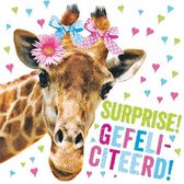 Wenskaart Dierenmanieren Surprise! Gefeliciteerd!