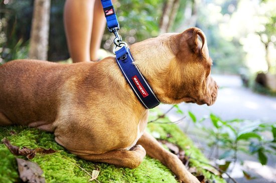 EzyDog Neo Classic Hondenhalsband - Halsband voor Honden - 30-33cm - Oranje - Ezydog