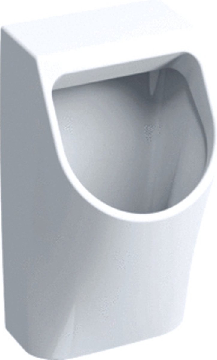 Geberit 300 Urinals 300 urinoir - 90 - 32.5x30cm - met achterinlaat - wit